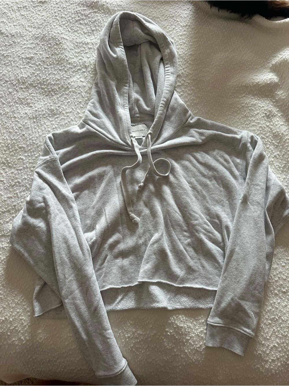 American Eagle Light Gray Cropped Hoodie